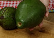 Se você não gosta de abacate, é porque ninguém preparou para você dessa forma